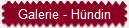 Galerie - H�ndin