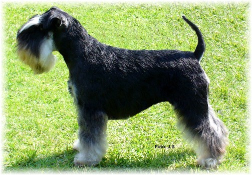 Wynona-4 Jahre-09-5