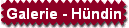 Galerie - H�ndin