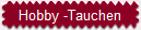 Hobby -Tauchen