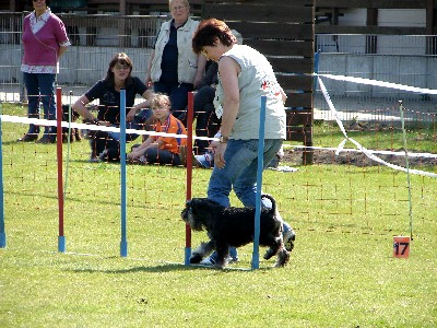 Agi-Wanne-010-2
