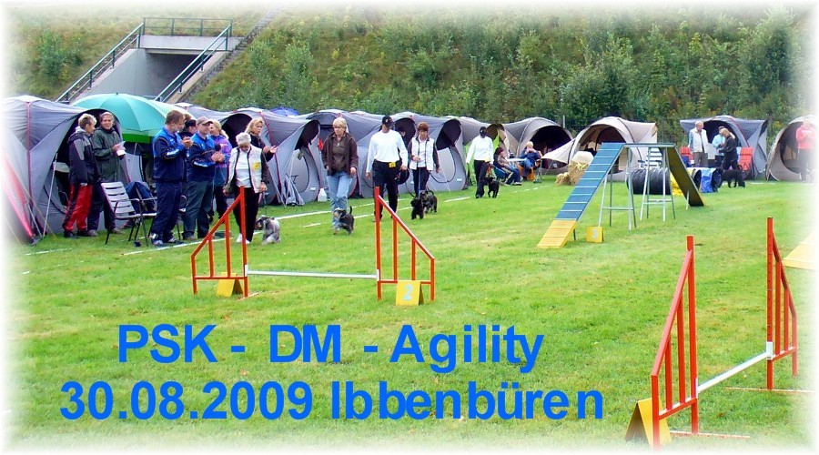 DM-09-01
