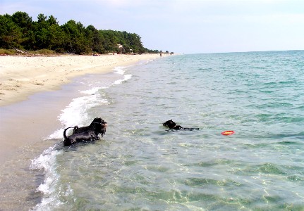 Korsika08-4