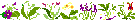 00002148