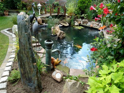 Koi-3