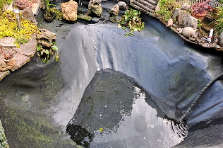 Teich 2023 - 2
