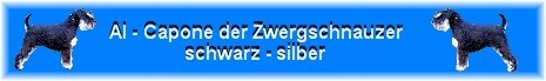Banner-Mario