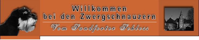 Banner-Schulz2