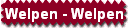 Welpen - Welpen