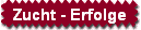 Zucht - Erfolge