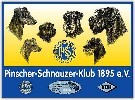 logo-ps-klein